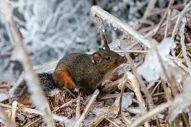 《蛋蛋蛋蛋蛋》Steam页面上线 小清新横版动作新游